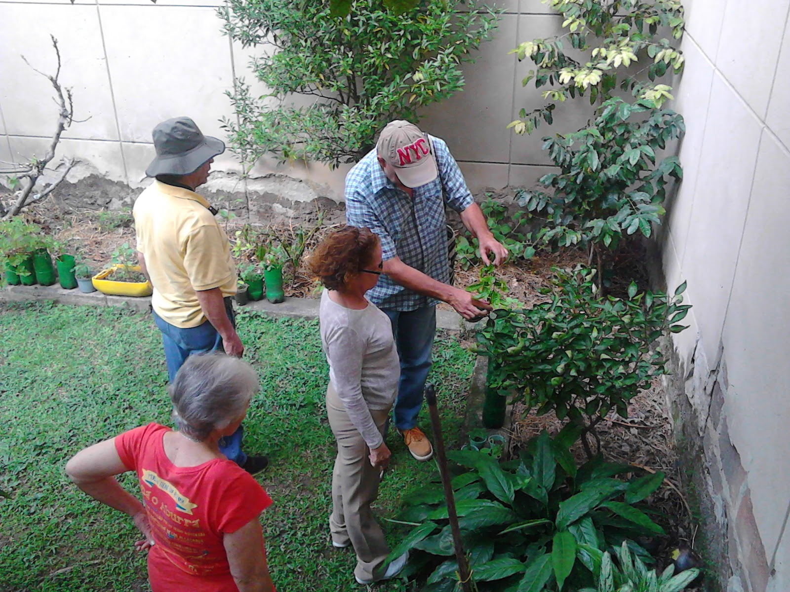 Grupo ecohuerta